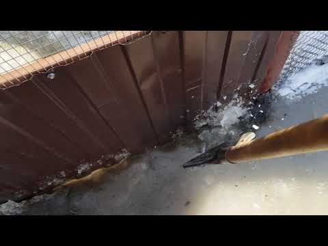 Видео: Хлопоты по хозяйству.Таскаем снег,чтобы не утонуть.