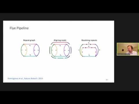 Видео: Mikhail KOLMOGOROV, Алгоритмы для de novo сборки геномов с помощью графов повторов