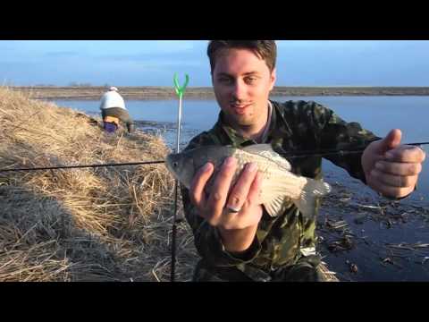 Видео: Рыбалка Ахтуба весна 2015