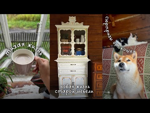 Видео: Деревенские будни: преображение шкафчика, козы, новый воск и заготовка дров🔥