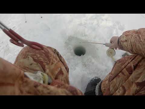 Видео: Казахстан. Жезказган. Сатпаев. Щука есть, Шортан не клюёт!