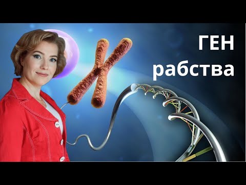 Видео: Ген рабства