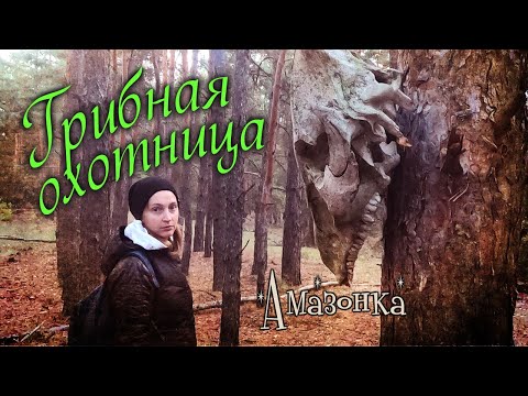 Видео: Хроники грибной охоты-3. Нашла череп в лесу / Chronicles of mushroom hunting-3. Found a skull