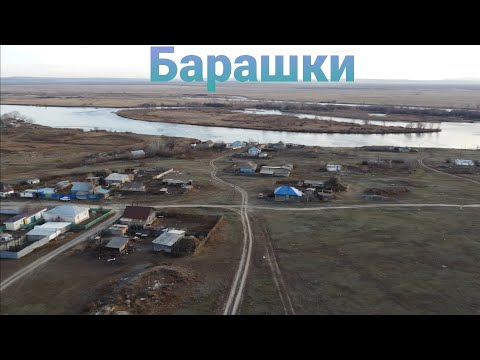 Видео: Казахстан-Первомайский,Барашки ВКО