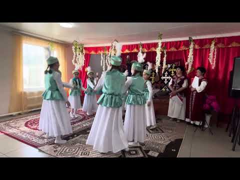 Видео: 20 февраля 2025 г.