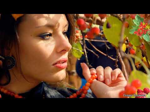 Видео: Горит калины цвет      Исп  Андрей Кяйс