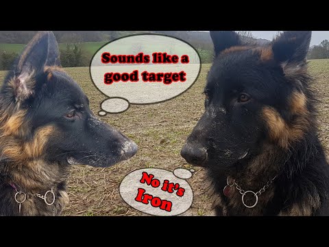 Видео: Секреты идентификации железа XP ORX