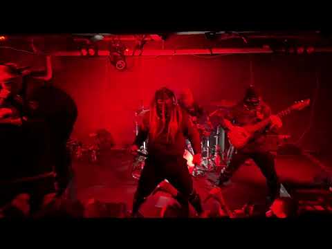 Видео: Ростов накрыло БЕШЕНСТВО Мегамозг @Megamozg_official