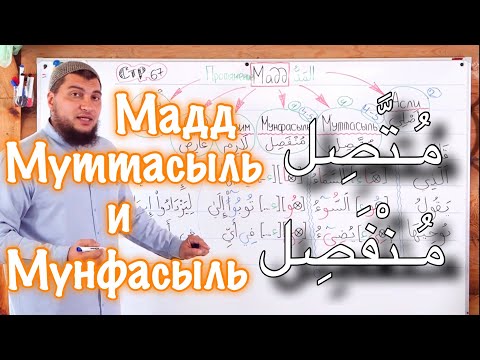 Видео: Урок № 18: Мадд муттасыль (Соединённый) Мадд мунфасыль (Разъединённый)