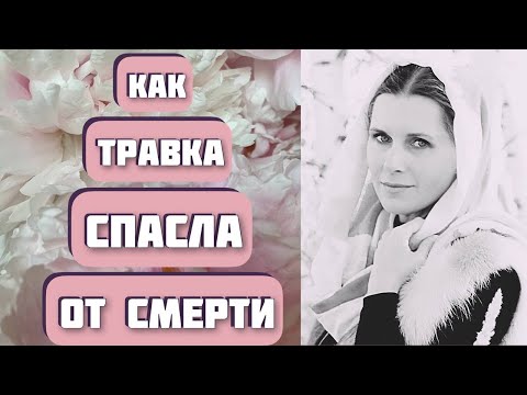 Видео: ТРАВКА. Рассказ о превращении "Савла в Павла". Очень интересная история. Автор - Николай Блохин