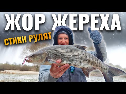 Видео: Ловля жереха продолжается даже в погодный коллапс. Дни 4-5