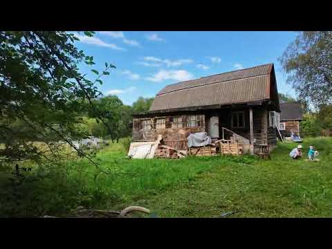 Видео: Купили дом | Стелим полы | Косим траву | Пилим деревья | Деревенская жизнь | Дачники