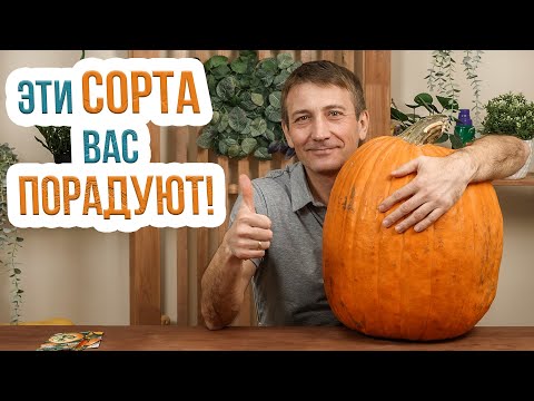 Видео: Какой сорт тыквы выбрать? Самые вкусные и сладкие сорта тыквы. Крупные, порционные и необычные сорта