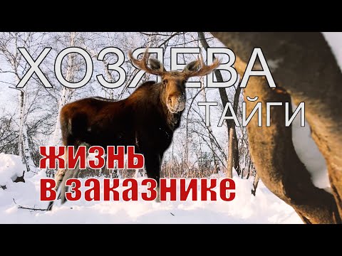 Видео: XОЗЯЕВА ТАЙГИ. Что такое "заказники"...