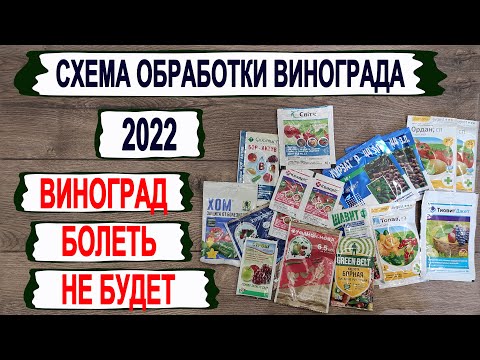 Видео: 🍇 Виноград болеть не будет. Рабочая СХЕМА ОБРАБОТКИ от основных болезней из ДОСТУПНЫХ ПРЕПАРАТОВ.