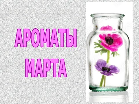 Видео: ❤️ АРОМАТЫ МАРТА ❤️ МОЙ АРОМАТНЫЙ МАРТ 2024 ❤️ ТОП-19 ❤️