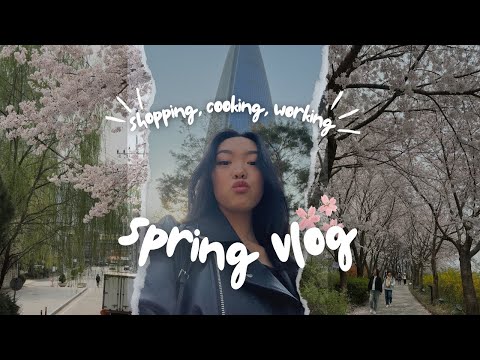Видео: весенний вложик из Кореи: сакура, шоппинг, готовка, работа