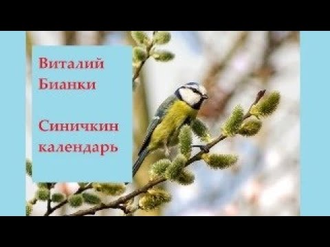 Видео: Март "Синичкин календарь"  Виталий Бианки. Рассказ с картинками для детей