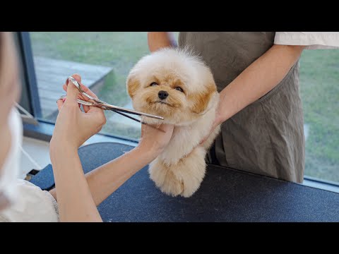 Видео: Не слишком нервничайте!