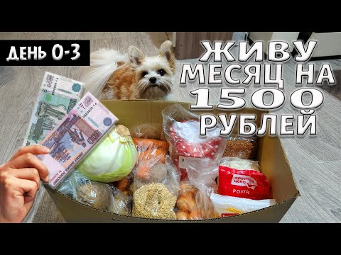 Видео: Выживаю месяц на 1500 рублей. Осень 2024 год. День 0-3.