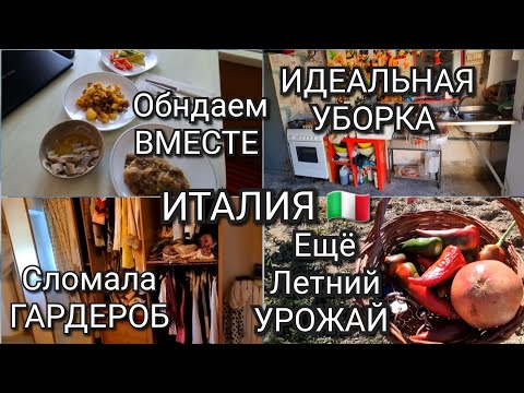 Видео: ИТАЛИЯ, ЛЕТНИЙ УРОЖАЙ, ИДЕАЛЬНАЯ ХОЗЯЙКА, ОБЕД И УЖИН, СЛОМАЛА ВЕСЬ ГАРДЕРОБ 