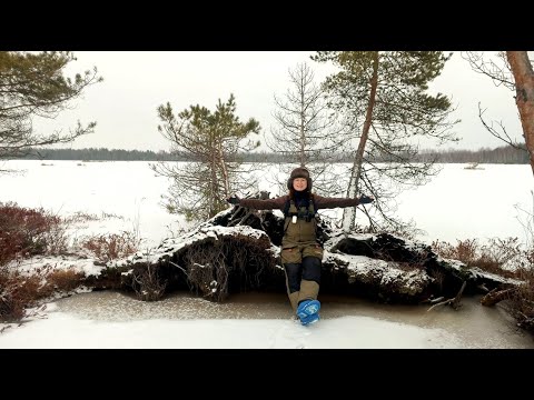 Видео: Голодные щуки на диком озере