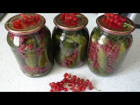 Видео: Вкусные Огурчики без УКСУСА и без СТЕРИЛИЗАЦИИ . С Красной Смородиной . Очень Простой Рецепт !!!