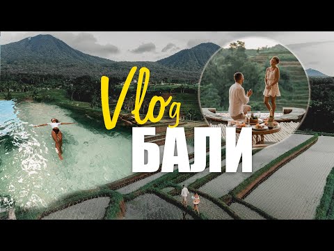 Видео: БАЛИ. НАШЕ ПРЕДЛОЖЕНИЕ. ПЕРВЫЙ VLOG 2020