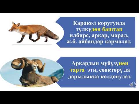 Видео: Грамматика /  Атооч жана этиш сөздөргө улануучу аналитикалык формалар