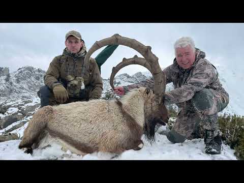 Видео: Hunting Bezoar Ibex in Turkey 2024. - Охота на Безоарового козерога в Турции 2024.