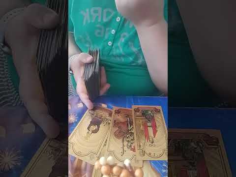 Видео: 13 сентября 2025 г.