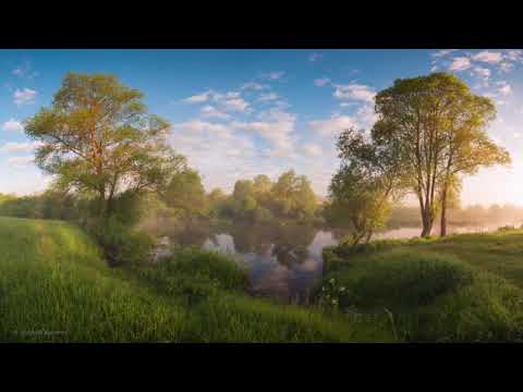 Видео: Аутогенная тренировка. Ведет Наталия Дворкина