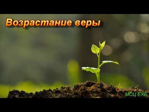 Видео: "Возрастание веры". А. Оскаленко. Проповедь. МСЦ ЕХБ.