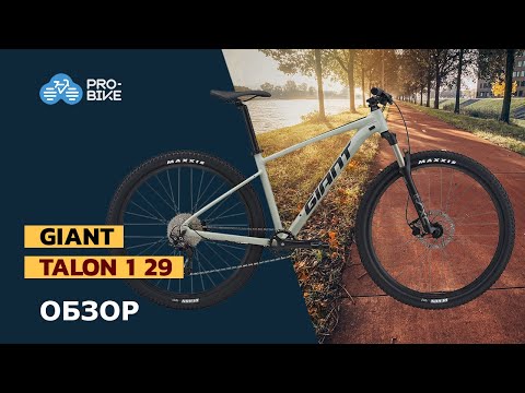 Видео: Горный велосипед Giant Talon 1 29 (2021/2022)