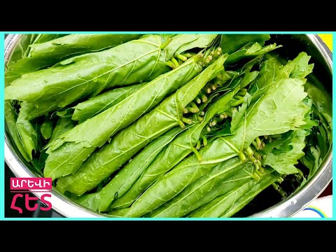Видео: Խաղողի տերևի թթու:Виноградные листья на зиму для долмы.How to marinate grape leaves