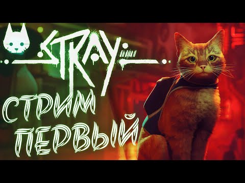Видео: Стала кошкой в мире будущего и отправилась на поиски приключений! Проходим Stray. Стрим 1.