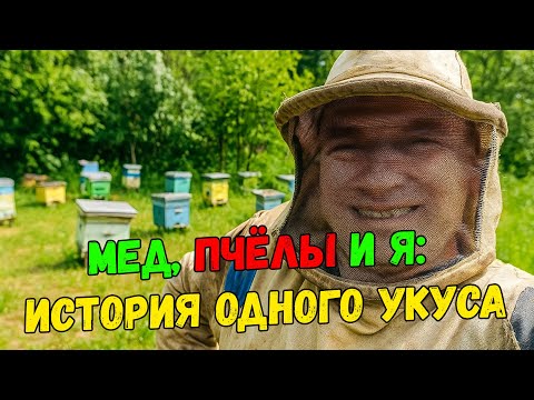 Видео: Пчелиная месть: Летний день на пасеке, одна упрямая пчела и я в костюме…