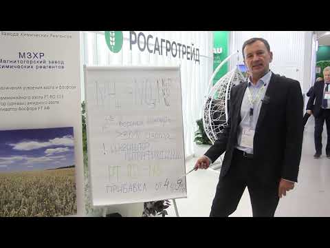 Видео: Что не вноси, Итог: NO3