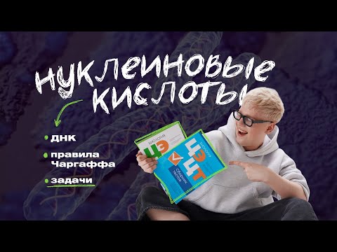 Видео: ДНК. ПРАВИЛА ЧАРГАФФА. ЗАДАЧИ | ЦТ, ЦЭ по Биологии | Ян Менделеев