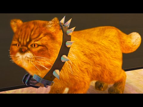 Видео: Симулятор Кота с Кидом #5 Персидский кот и Малыш Каракал в Cat Simulator 2 на Пурумчата