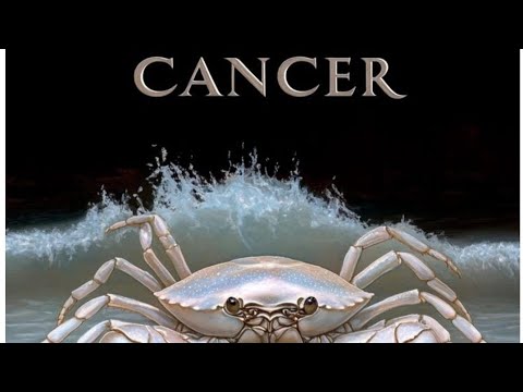 Видео: Раци за м. Септември 2025г. 