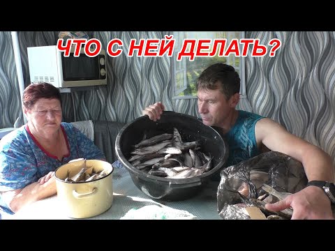 Видео: ВОТ ЧТО СДЕЛАЛ И ДЕЛАЮ ИЗ РЕЧНОЙ ПОЙМАННОЙ РЫБОЙ! Бабушка в помощь!