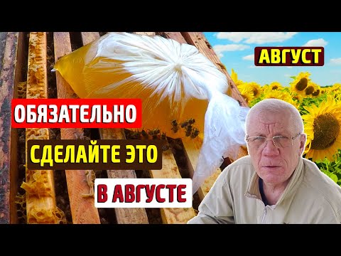 Видео: Работы в августе на пасеке. Самый важный месяц для пчел.
