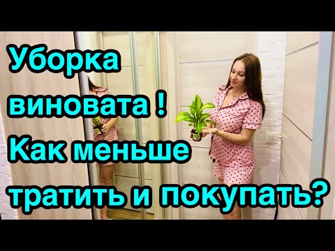 Видео: Как меньше тратить и покупать? Уборка виновата!