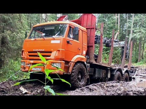 Видео: Спасение КАМАЗА из грязи. #дневник_лесника