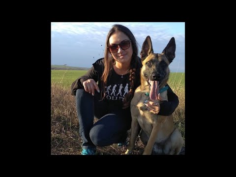 Видео: Гиперактивная собака. Ошибки в дрессировке