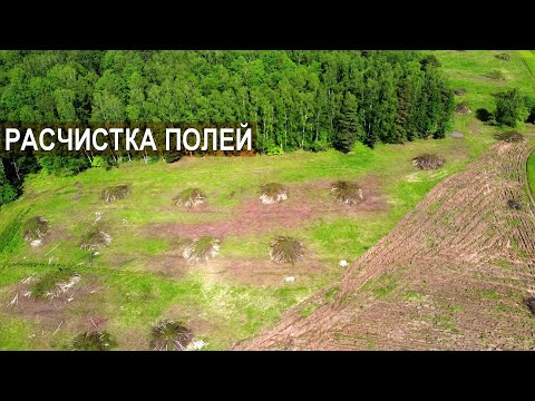 Видео: Что делать когда земли не хватает? Распахать! Фермер Бабкен Испирян.