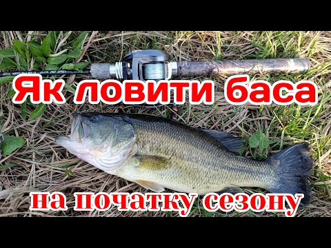 Видео: ЯК ЛОВИТИ БАСА на початку сезону