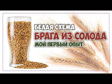 Видео: Брага из солода по белой схеме первый опыт