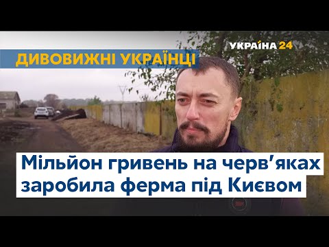 Видео: Миллион гривен на червяках: под Киевом работает уникальная ферма